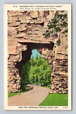 Cherokee National Forest, Backbone Rock, Antique Vintage Souvenir Postcard picture