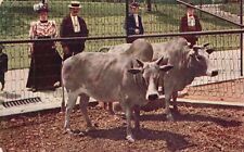 Vintage Postcard 1910's Brahman Bull Cattle Raising Farming V. O. Hammon Pub. picture