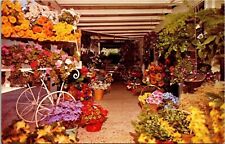 Flower Patio Soap Candle Shop Country Square Courtyard Rancho Santa CA Postcard picture