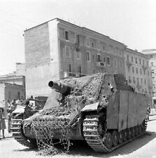 WW2 Photo WWII German Sturmpanzer Brummbar Rome Italy 1944  World War Two / 1424 picture
