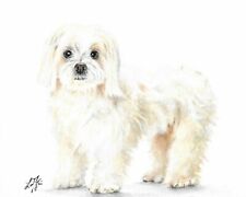 ✿ ORIGINAL Oil Portrait Painting MALTESE Artist Signed Puppy Dog Artwork Art picture