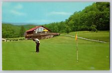 Postcard Virginia Hot Springs Homestead Golf Course Golfer Putting Unposted picture