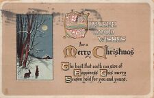 Antique Christmas Raphael Tuck Bunnies Rabbit Snow Moonlight Vtg Postcard R6 picture