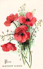 Antique Birthday Card Red Poppy Flowers Poppies Botanical Tucks Vtg Postcard D60 picture