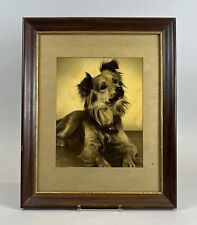 Antique large vintage frame photo portrait of cute dog 'Anticipation