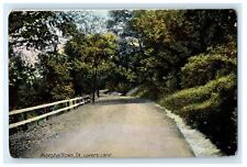 1908 Lovers Lane View, Marshalltown Iowa IA Unposted Antique Postcard picture