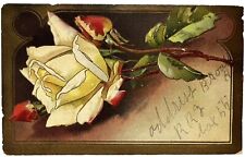 Antique Postcard 1900s Arrow D Embossed YELLOW ROSE Divided Back Friendship Joy picture