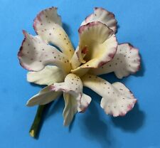 Antique Capodimonte Porcelain Orchid from Italy One Petal Repaired picture