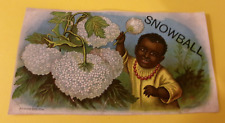 RARE OVERSIZED ANTIQUE VICTORIAN TRADE CARD BLACK AMERICANA ADVERTISING COLORFUL picture