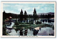 c1920's Evergreen Lake Pond Grove Rustic Bridge Leadville Colorado CO Postcard picture