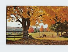 Postcard A Typical New England Fall Scene USA North America picture