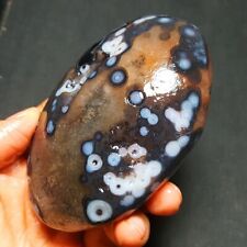 The most beautiful 407.3g Natural Gobi eye agate  Madagascar 31X68 picture
