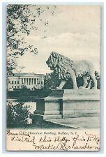 1905 Historical Building Lion Statue Buffalo New York NY Posted Antique Postcard picture