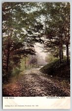 Woodstock Ontario Dell Scenic Natural Roadway Landscape DB UNP Postcard picture