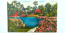 Azalea Flower Cypress Gardens Postcard Vintage Linen Florida Path Palm Tree picture