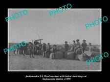 OLD LARGE HISTORIC PHOTO OF ANDAMOOKA SA WOOL WASHERS & THEIR BALES c1890 picture