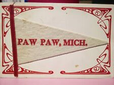 Paw Paw MI greetings Felt 1909 DB pennant  picture