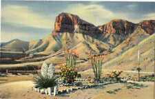 SIGNAL PEAK GUADALUPE MOUNTAINS New Mexico Postcard 22044 picture