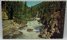 Postcard Fraser River Near its source BC British Columbia Canada F83 picture