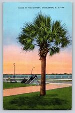 Postcard Palmetto Tree At The Battery Charleston South Carolina Unposted Linen picture