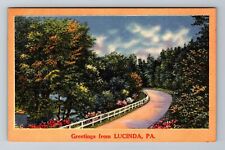 Lucinda PA-Pennsylvania, Scenic Greetings, River & Flowers Path Vintage Postcard picture