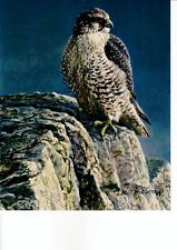 Robert Bateman Signed 8x10 Autographed Photograph Naturalist Painter Artist #02 picture