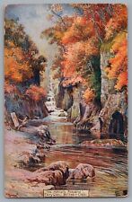The Artist's Paradise Fairy Glen Betws-y-coed Wales Artist Postcard picture