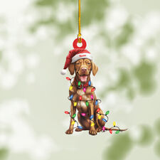 Vizsla dog  Christmas Light Ornament, cute Vizsla dog lover Car Ornament picture