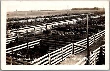 Postcard Atkinson, Nebraska Livestock Market RPPC Real Photo Cattle Yard Ei picture