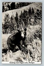 RPPC Higgins Lake MI-Michigan, Scenic Greetings, Bear Real Photo Postcard picture