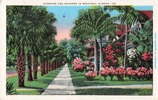 Lakeland FL Florida, Sunshine & Shadows, Palm Trees & Flowers, Vintage Postcard picture
