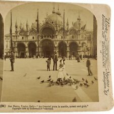 St Mark's Basilica Pigeons Stereoview c1898 Venice Italy San Marco Piazza B1800 picture