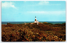 MONTAUK POINT AND LIGHTHOUSE IN MONTAUK NEW YORK  POSTCARD picture