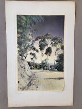 1920'S HUGE PHOTO...BEAUTIFUL TREES CALIFORNIA J.M. GARRISON picture