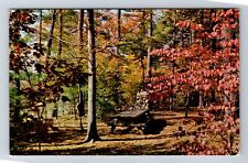 Westfield MA- Massachusetts, Picnic Area In Stanley Park, Vintage Postcard picture