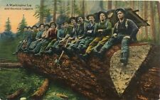 WASHINGTON WA - A Washington Log And Fourteen Loggers Postcard - 1918 picture