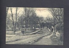 University Street Alfred New York Antique Postcard picture