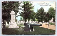 Postcard Rose Hill Cemetery Eaton Rapids Michigan MI c.1910 picture