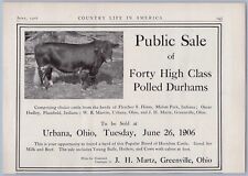 1906 J H Martz Public Sale Auction Ad Urbana Ohio Polled Durham Cows Cattle picture