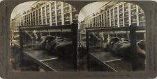 ITALY Pompeii Human Body Molding Museum, Vintage Silver Stereo Photo picture