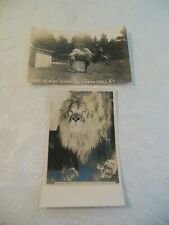 vintage RPPC post card Ehmler estate zoo in Hoosick, NY - Lot of (2) card unused picture