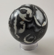 Fossil Sphere 4