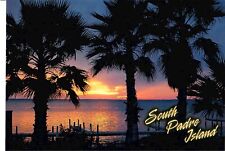 NEW Postcard South Padre Island Texas palm trees 4x6 Postcrossing Collector picture