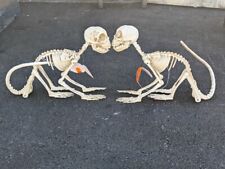 Pair Animated Moving LED Skeleton Dog Bones Battery Halloween Decor Prop 12in picture