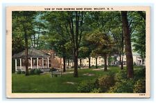 View of Park Showing Band Stand Wolcott NY Wayne County Postcard C13 picture