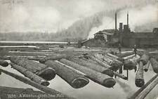 Washington Saw Mill Men Standing On Floating Logs WA c1910 VTG P116 picture