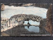 Celilo Falls And Bridge Oregon OR Columbia River Gorge Antique Postcard Photo picture