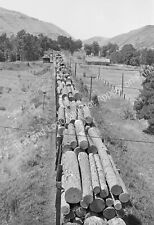 1941 Logging Train, Spalding Junction, Idaho Old Photo 13