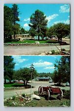 Prescott AZ-Arizona, Pine Lawn Trailer Ranch, Antique, Vintage Souvenir Postcard picture