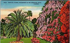FL-Florida, Tropical Floral Splendors In The Sunshine State Vintage Postcard picture